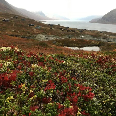 Spectacular With View In Jotunheimen Ferienhaus *