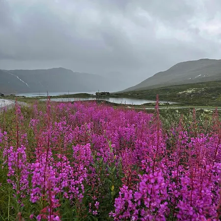 Spectacular With View In Jotunheimen * Eidsbugarden