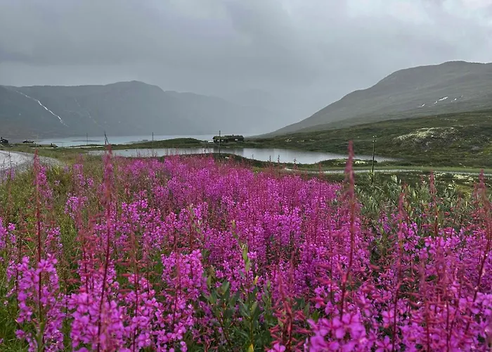 Spectacular With View In Jotunheimen * Eidsbugarden